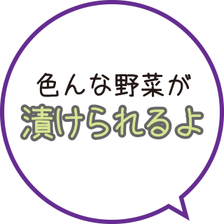 色んな野菜が漬けられるよ