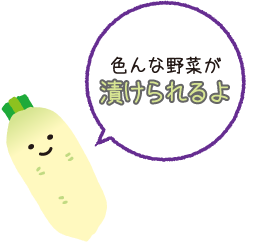 色んな野菜が漬けられるよ