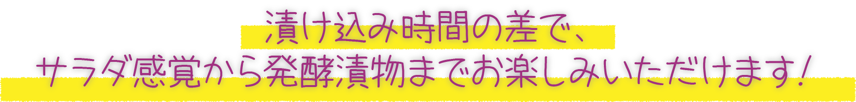 漬け込み時間の差で、サラダ感覚から発酵漬物までお楽しみいただけます！