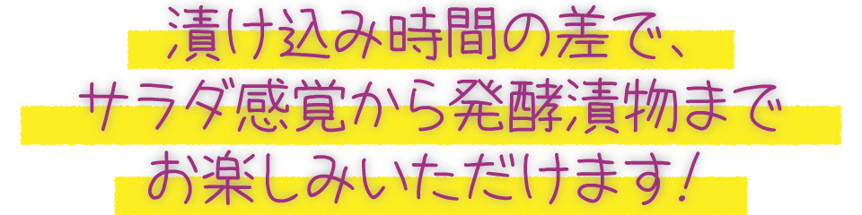 漬け込み時間の差で、サラダ感覚から発酵漬物までお楽しみいただけます！