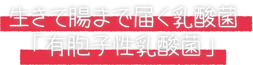 生きて腸まで届く乳酸菌「有胞子性乳酸菌」