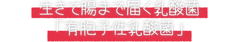 生きて腸まで届く乳酸菌「有胞子性乳酸菌」