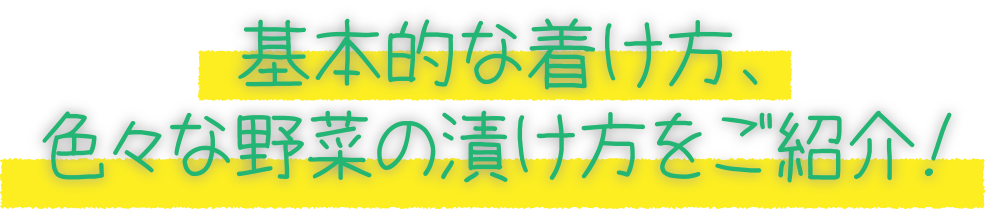 基本的な着け方、色々な野菜の漬け方をご紹介！