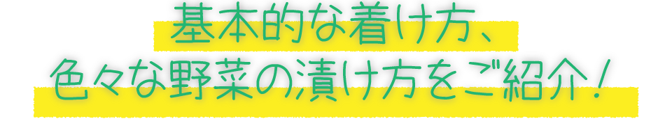 基本的な着け方、色々な野菜の漬け方をご紹介！